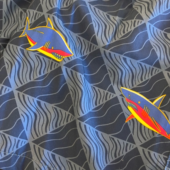 Boy Swim Trunks - Picture 2 of 3